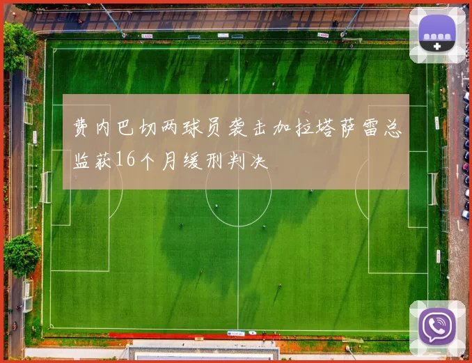 费内巴切两球员袭击加拉塔萨雷总监获16个月缓刑判决