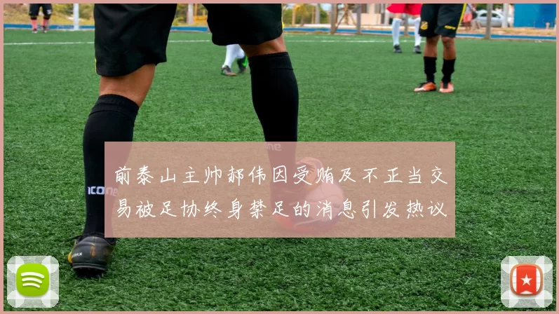 前泰山主帅郝伟因受贿及不正当交易被足协终身禁足的消息引发热议